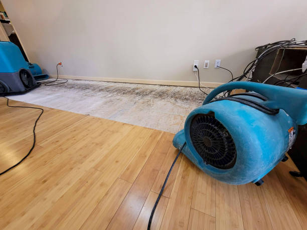 Professional Water Removal technician working in Prospect Harbor, ME